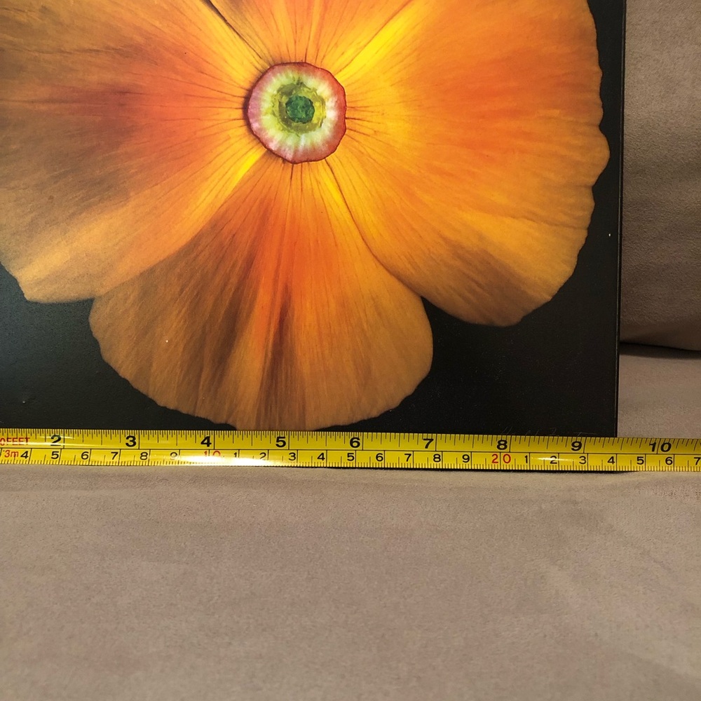 Orange Flower- Wall Art 🖼 Picture - Picture 5 of 6